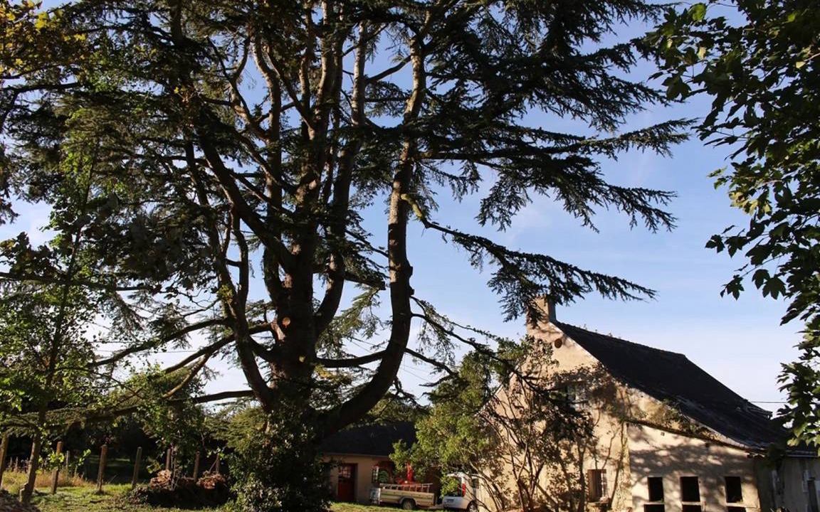 Saint-Aubin-le-Depeint House | 150 m² House ∙ 4 bedrooms ∙ 12 guests