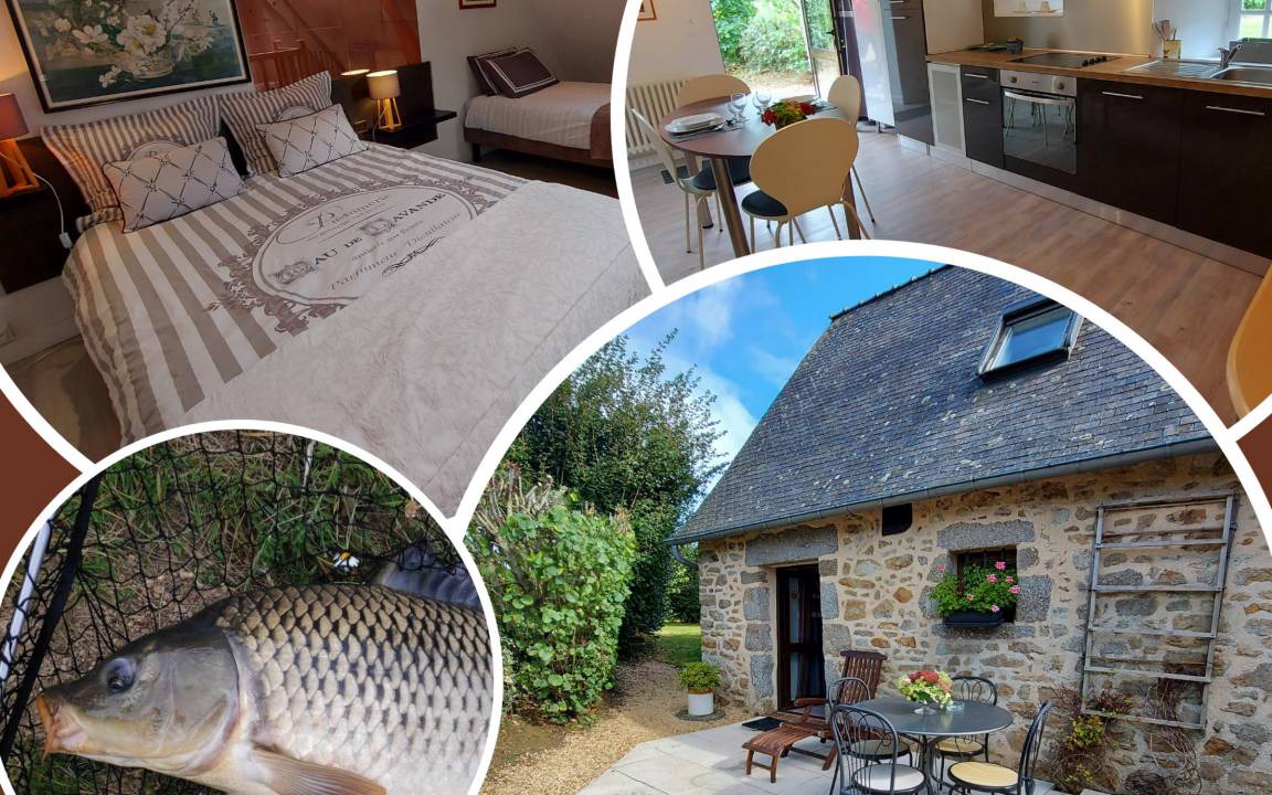 Alexain Cottage | 40 m² Cabin ∙ 1 bedroom ∙ 3 guests