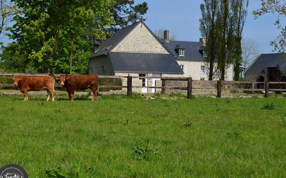 Sainte-Marie-du-Mont Cottage | 40 m² Cabin ∙ 1 bedroom ∙ 2 guests