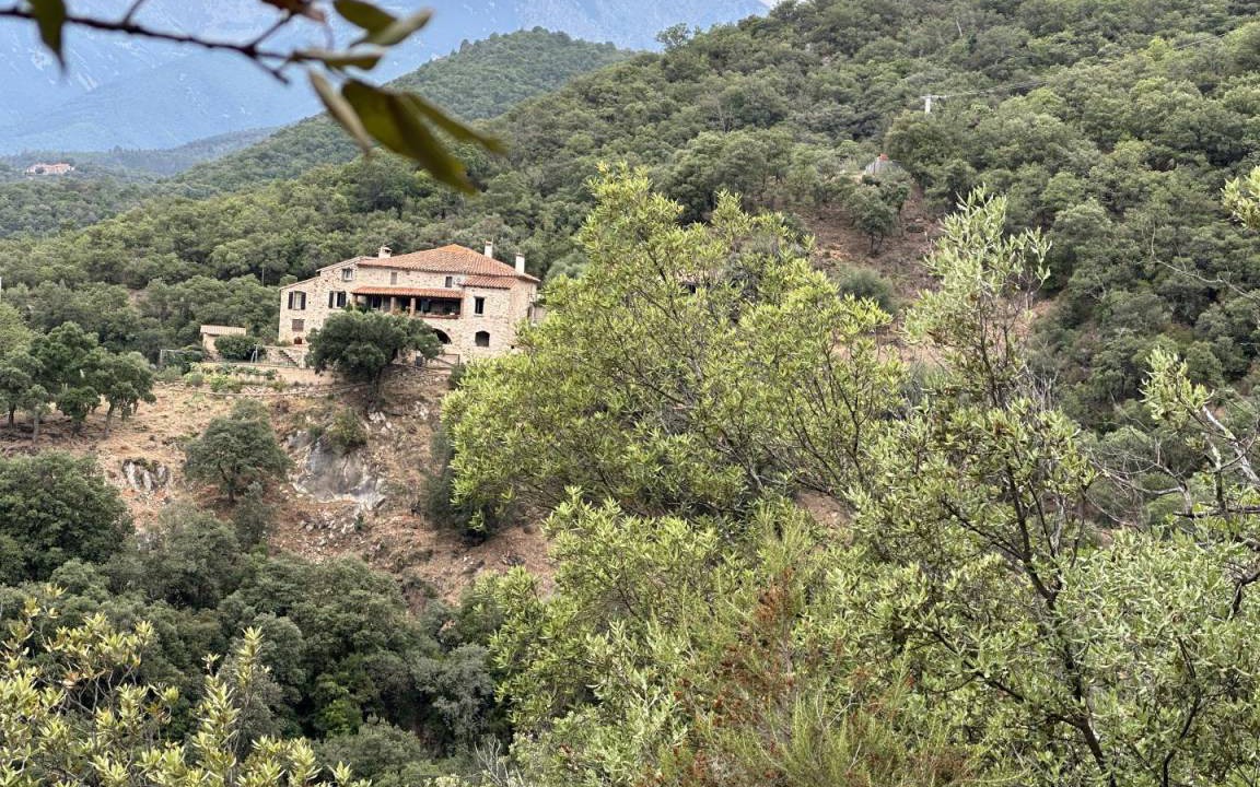 Montbolo House | 60 m² Gîte ∙ 1 bedroom ∙ 2 guests