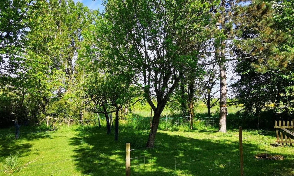 Saint-Mars-la-Jaille House | Chalet à la Campagne Pour 9 Personnes - Secteur Ancenis/châteaubriant