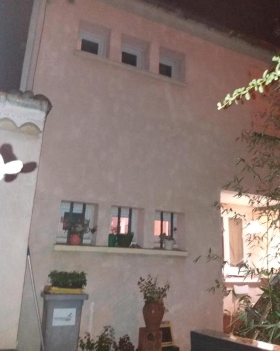 Chez William | Carcassonne