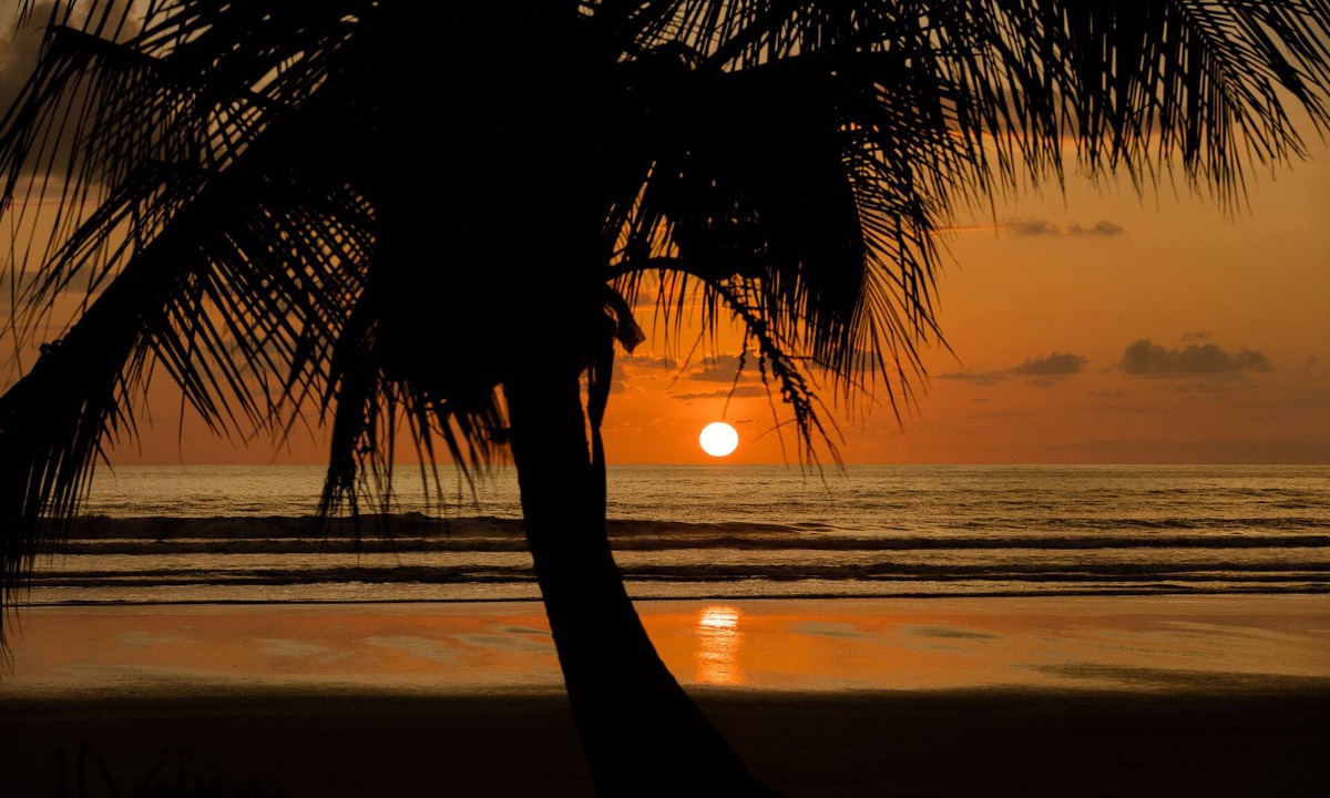 Playa Tortuga Cabin | Dramatic Ocean View and Exclusive Island Beach - Ocean View Room #4