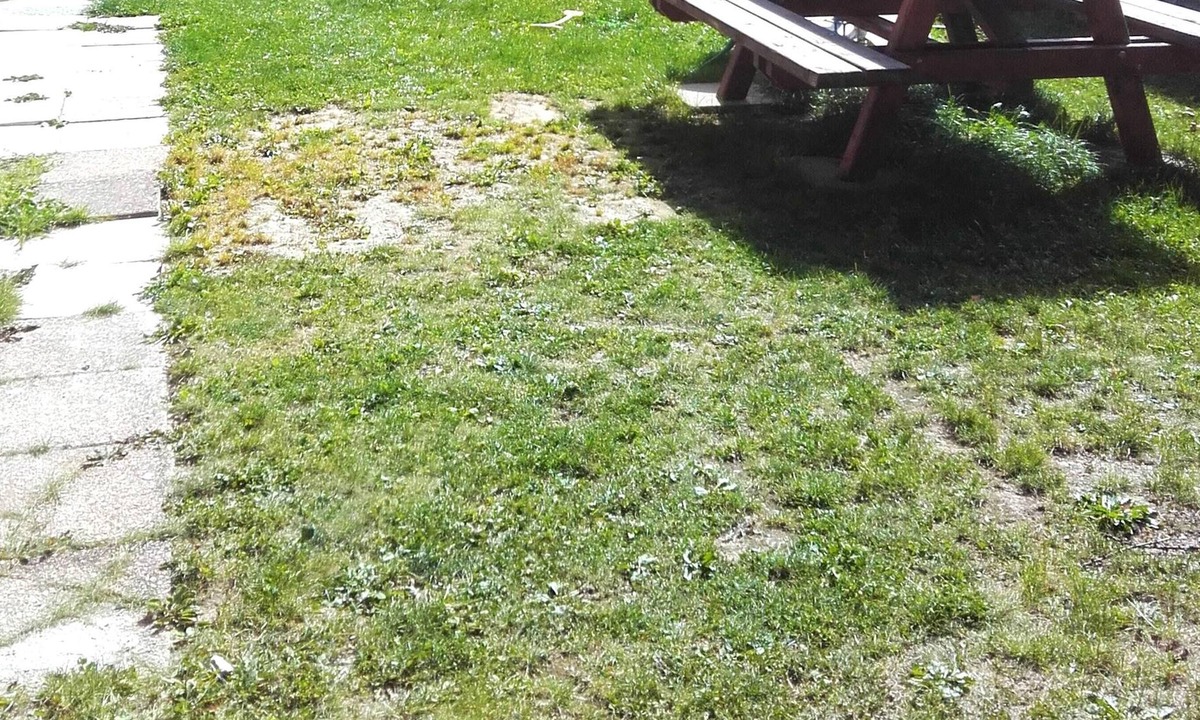Saint-Jean-d'Arves Apartment | Homerez - Nice studio 6 km away from the slopes for 2 ppl. at Saint-Jean-d'Arves