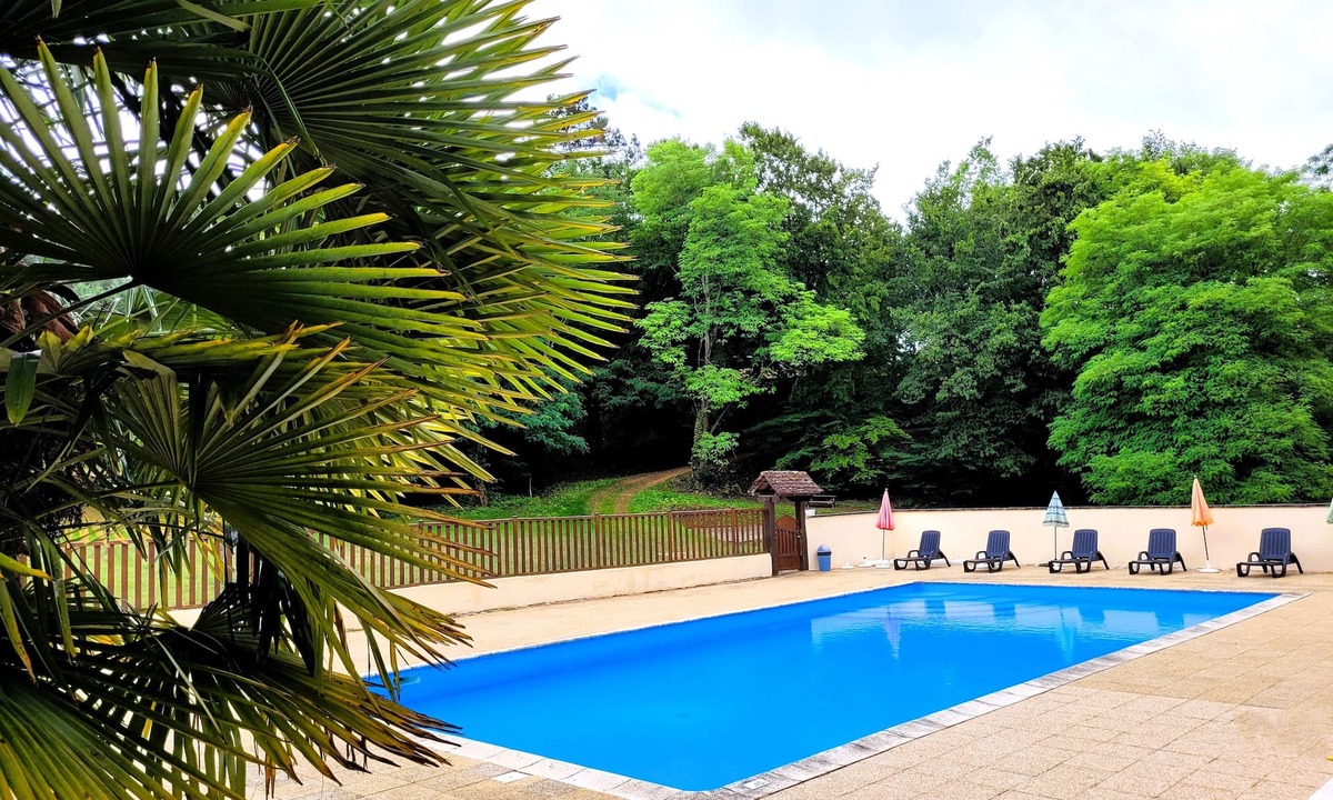 Sarlat-la-Caneda House | House for 15 people in Salat, 100 m2 heated shared pool, wifi