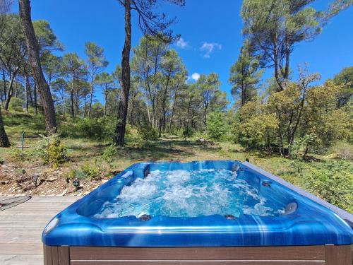 Venelles Apartment | La Pinède de Venelles Jacuzzi privatif