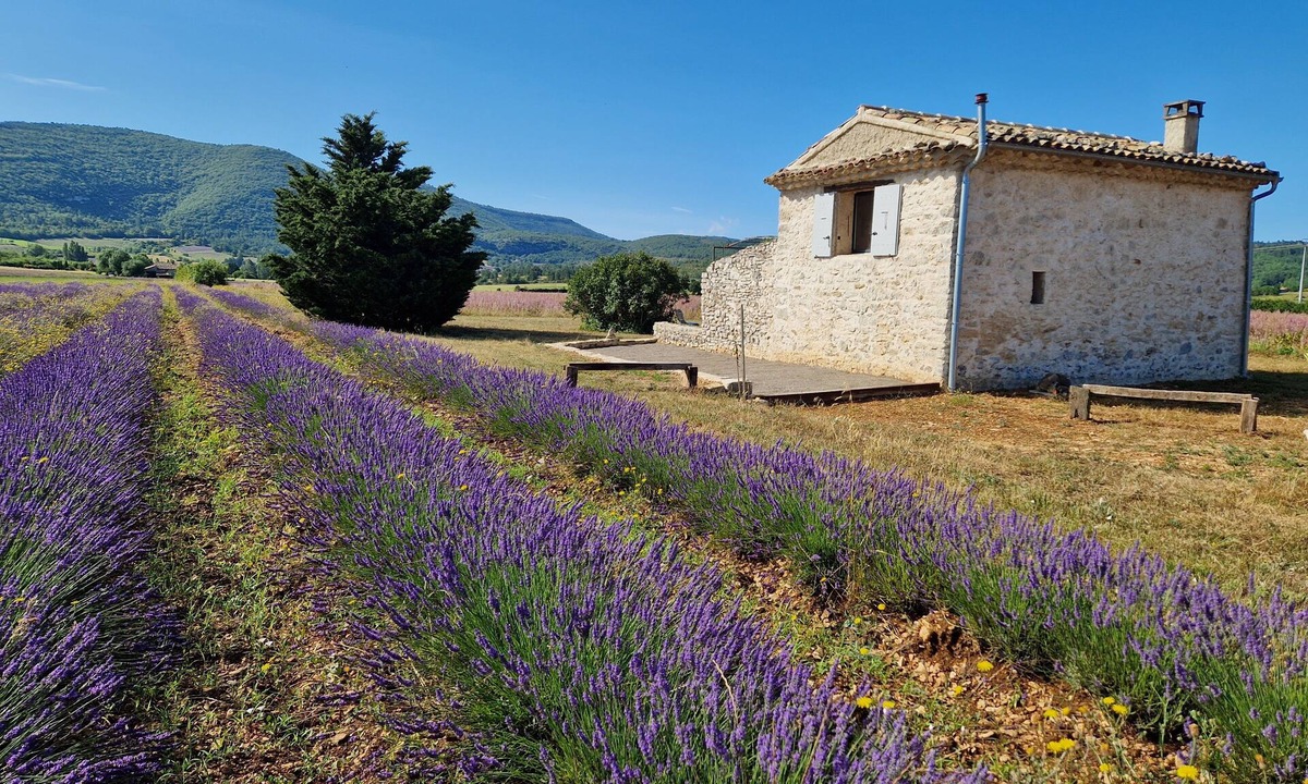 Sault House | Le Grangeon des Hermas an exceptional, peaceful spot on the Sault plain