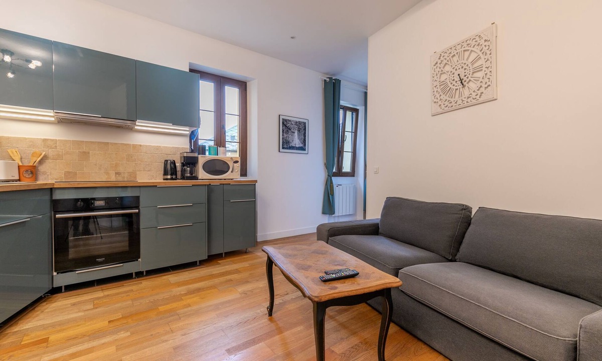 Romorantin-Lanthenay Apartment | Les 3 rois: Edina apartment Beauval and Châteaux