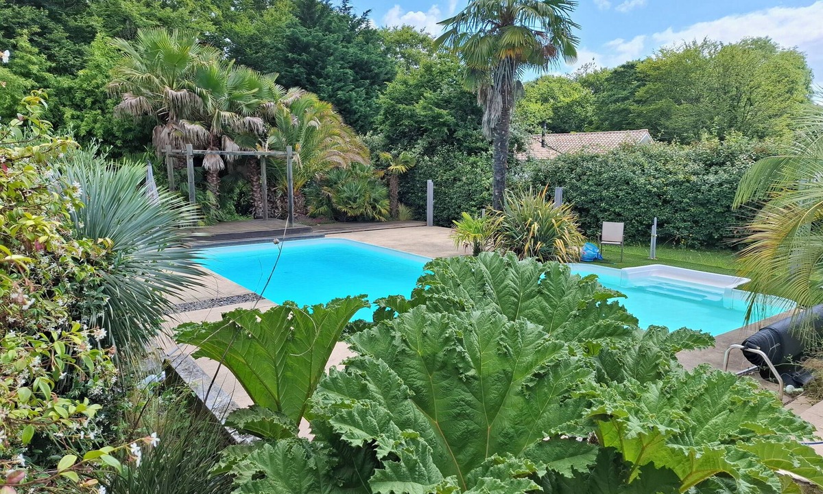 Sadirac House | Maison Côté Bordeaux - Saint Émilion - Swimming pool