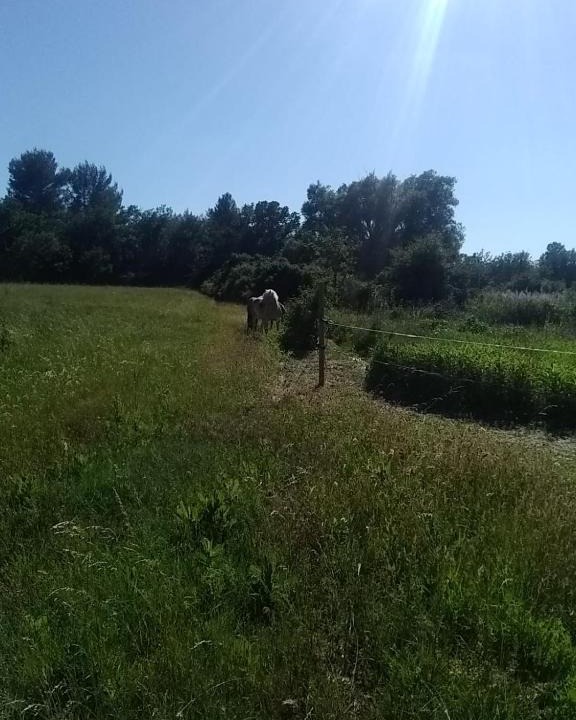 Aups House | Maison individuelle 5 couchages dans Ferme Equestre