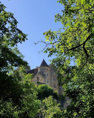 Salignac-Eyvignes House | Petite maison en pierre au coeur du Périgord noir proche de Sarlat et Rocamadour
