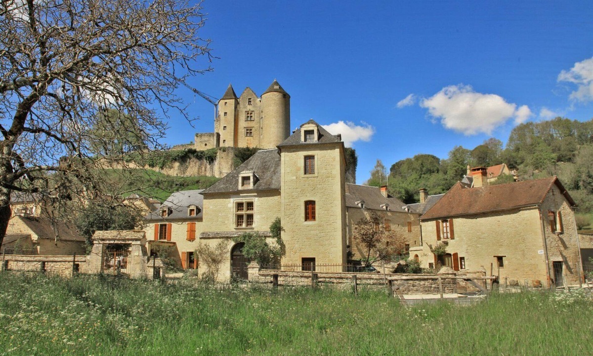 Salignac-Eyvignes House | Small stone house in the heart of Périgord Noir