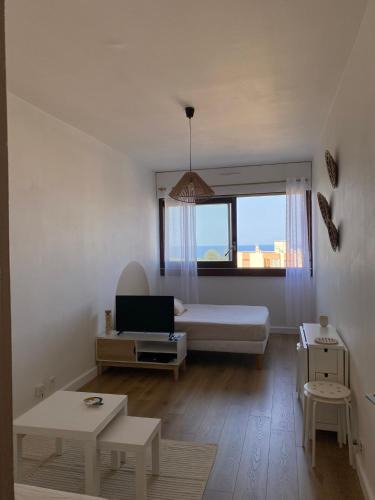 Pietranera Apartment | Studio moderne avec vue mer - Pietranera - Proche Bastia