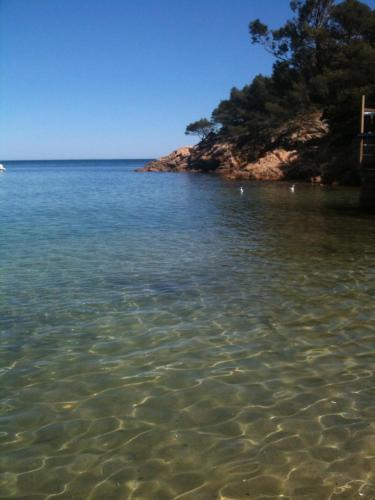 Le Lavandou Apartment | T3 TOUT À PIED ! 150 m MER LAVANDOU PISC PKG PRIV