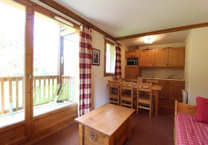 150m from ski slopes, 2nd floor, view mountain, fitness, swimming pool, balcony, tv, ski locker