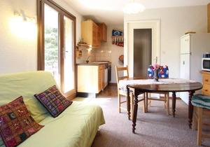 1st floor, balcony, tv, ski locker, 37m², Pelvoux
