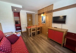 250m from ski slopes, 2nd floor, view mountain, swimming pool, balcony, tv, ski locker, 30m²