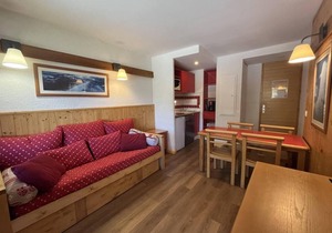 250m from ski slopes, 2nd floor, view mountain, swimming pool, balcony, tv, ski locker, 30m²