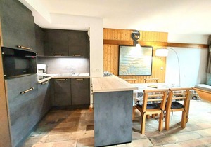 250m from ski slopes, floor -2, view ski slopes, swimming pool, balcony, tv, ski locker, 40m²