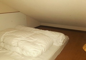APARTMENT ON THE SLOPES