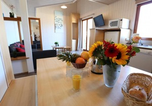 Chalet, wifi, 200m from ski slopes, fitness, swimming pool, terrace, parking, tv, 62m², Les Orres