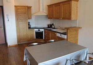 Charmant appartement au centre du village, proche des stations de ski - 4 personnes - FR-1-459-163