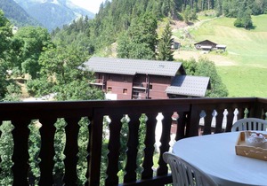 Charming 4-5 Person Apartment, Well-Equipped, Central Location, Elevator, 50m to Slopes & Shops