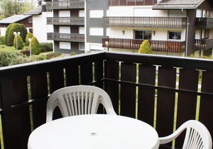 Charming apartment in Chamonix with balcony, pets allowed, parking