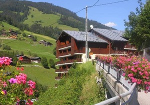 Cozy 2-4 Pers Apt in Village Center, Near Ski Lifts, Pool, South-Facing Terrace