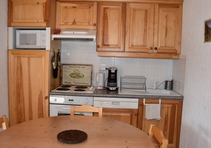 Cozy apartment near lifts with garage, pets allowed
