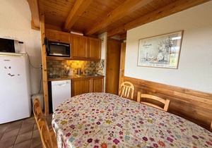 Cozy apartment 4-6 people, south balcony, pets allowed, Les Saisies