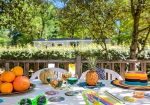 Flower Camping Les Biches * - Mobil-home Comfort TV 2hc - 26m2 - covered terrace - TV - plancha 5 people