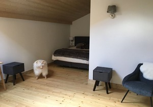 LA PERLE DES ALPES - New duplex of charm and high standing in the heart of the Alps.