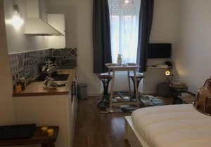 La Suite de Léon appartement D - Lyon Garibaldi