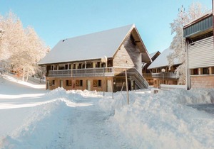 Le Bois de la Reine