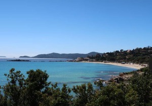 Les Iris