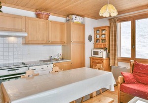 Lovely 2-bedroom apartment, sunny terrace, close to slopes in Chinaillon