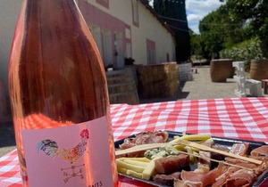 Maison de Maître for 10 people in the heart of the vineyard