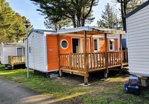 Mobile Home bois dormant
