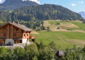 Mountain Chalet, 4 Bedrooms, Sleeps 9, Terrace, Garden, Near Shops!