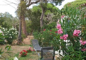 PALOMBAGGIA Air-conditioned studio in the heart of the maquis 700 meters from the beach