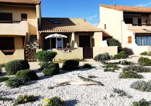 Residence Grande Bleue - VILLA T1 CAB MEZZ 6 sleeping accommodations PORT LEUCATE