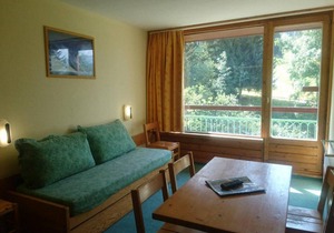 Ski-in/ski-out & foot of the slopes, 11st floor, view ski slopes, balcony, fireplace or stove, tv