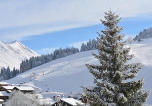 Studio - 4 pers, Le Grand-Bornand, commerces à pied, parking couvert - FR-1-241-216