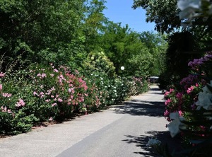Vrbo Property | Goudargues