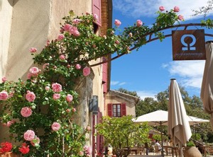 Domaine Du Dragon | Flassans-sur-Issole