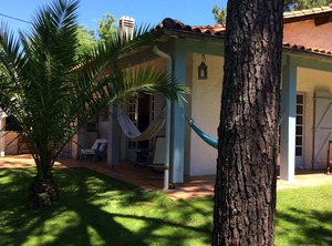 La Salangane | Cap-Ferret