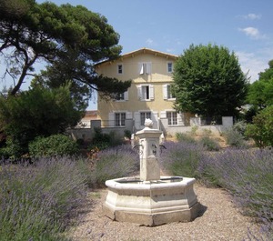 The Heart Of Vineyard 
