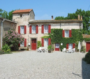 Wine Domaine 