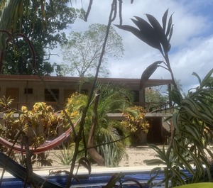 Lodge Located Jungle Setting 